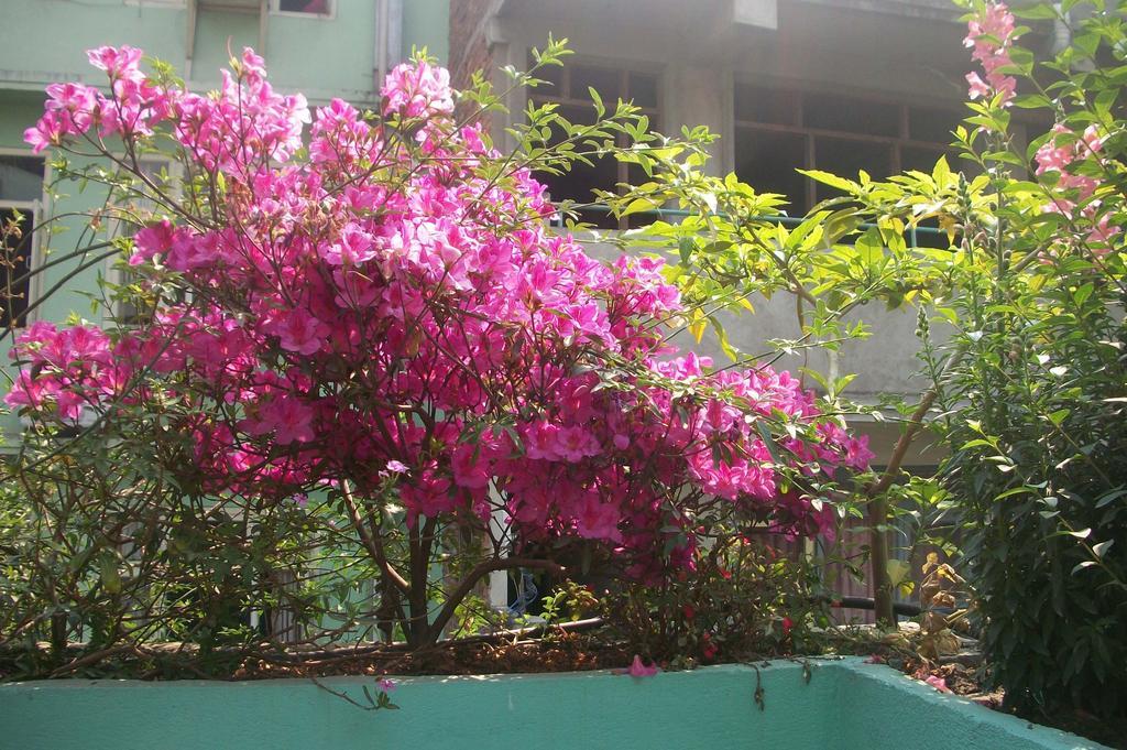 Hotel Impala Garden Kathmandu Exterior foto