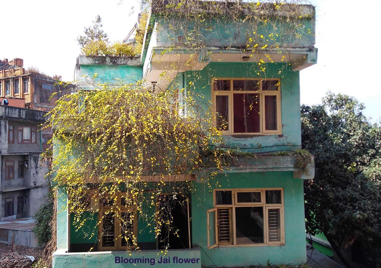Hotel Impala Garden Kathmandu Exterior foto